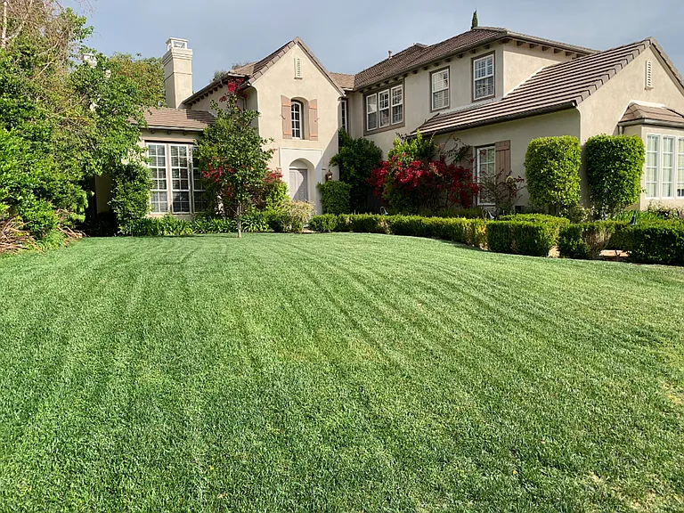 26803 Mont Calabasas Dr — Photo 3