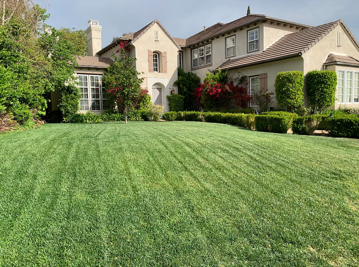 Building Photo - 26803 Mont Calabasas Dr