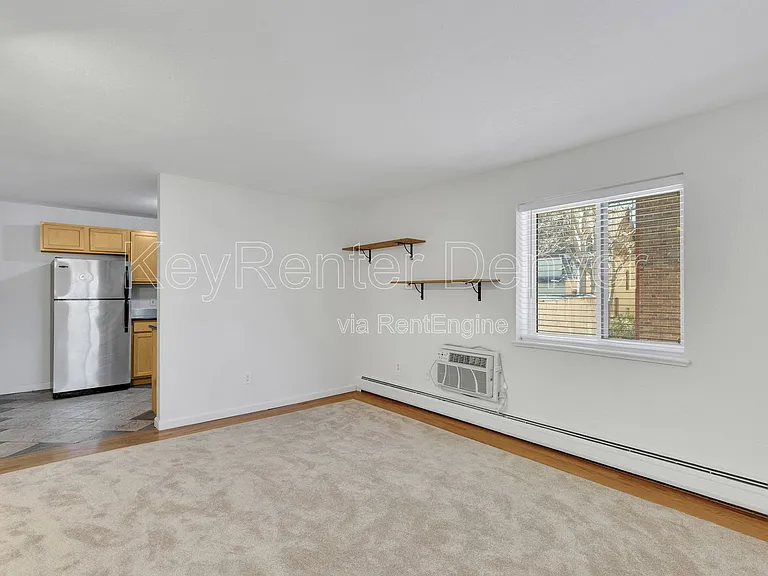 1045 N Clarkson St #207 — Photo 9