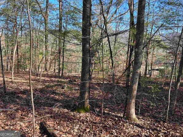 0 Tree House Trl, Blairsville, GA 30512
