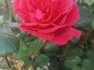 7655 E Chaparral Rd, Scottsdale, AZ 85250