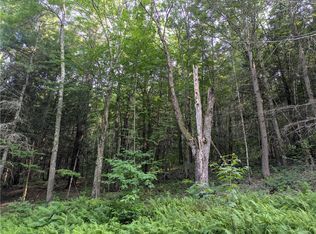 LOT 29 Peters Ln, Gilboa, NY 12076