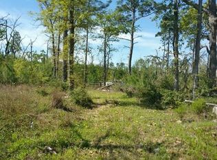 202 Felix Dr, Smithville, TX 78957