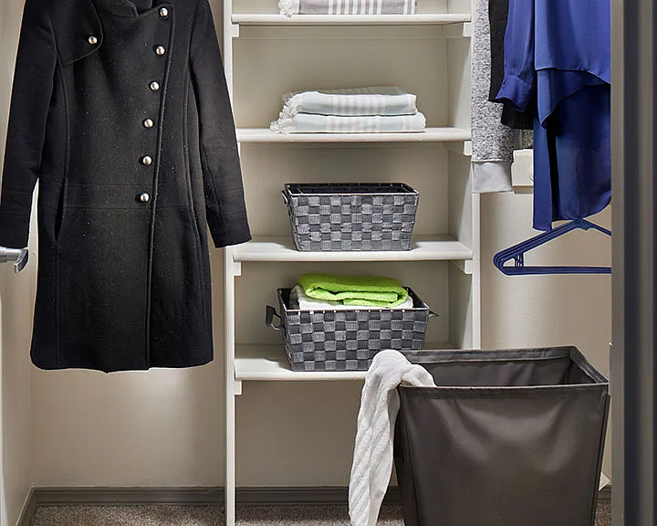 Spacious apartment Bedroom Closet.