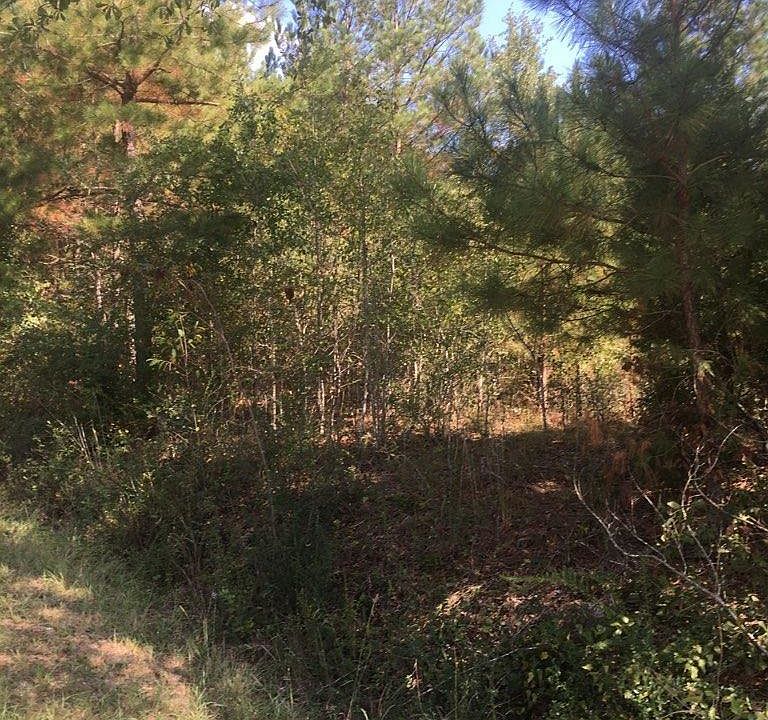 2nd image of 2905 Hester Rd
