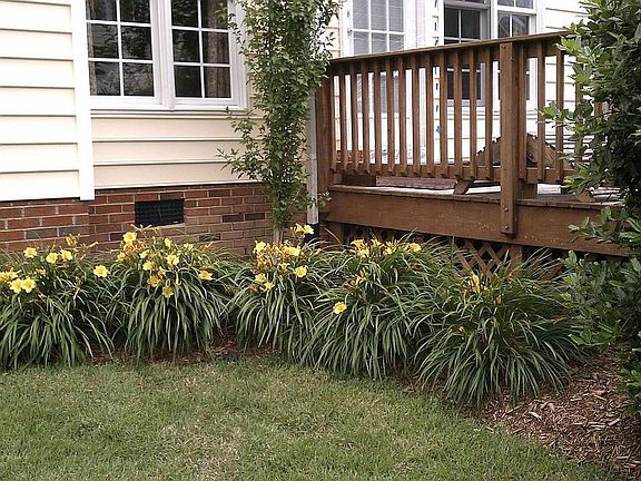 Spring Flowers