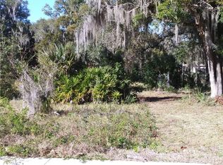 E Gottsche Ave, Eustis, FL 32726