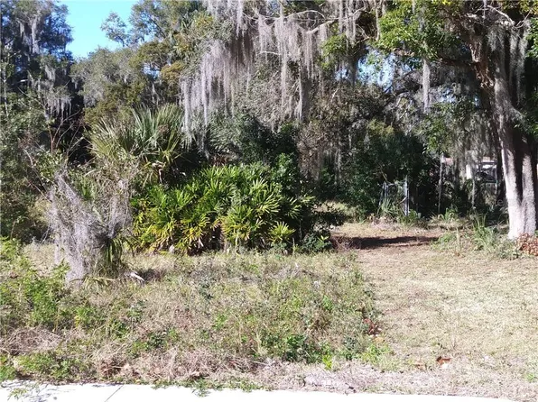 E Gottsche Ave, Eustis, FL 32726
