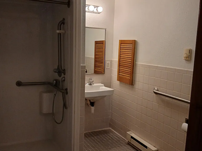 Bathroom shower, sink & toilet.