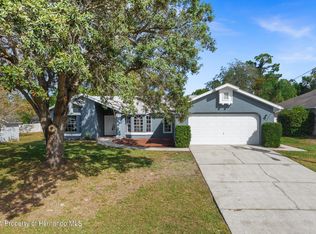 11367 Regent Ln, Spring Hill, FL 34609