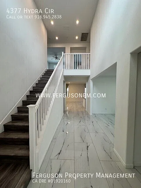 Gorgeous Four Bedroom Home in Westpark — Photo 3