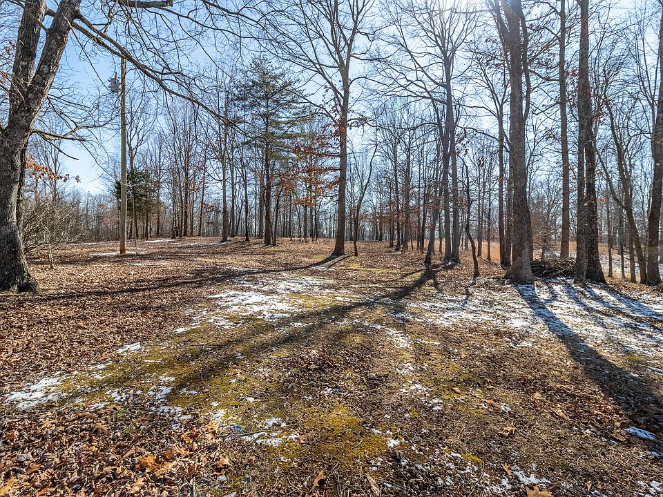 61st image of this home