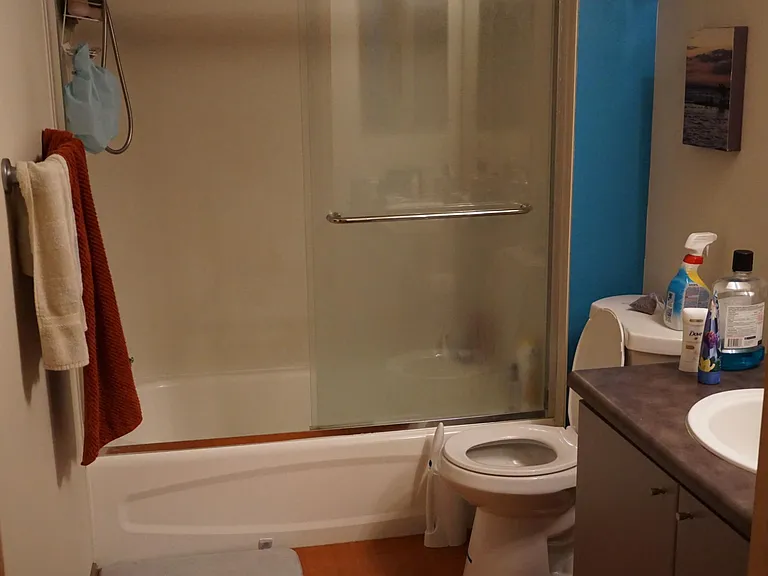 1125 E Olive St #106 — Photo 10