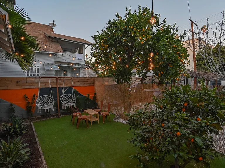 Back Yard