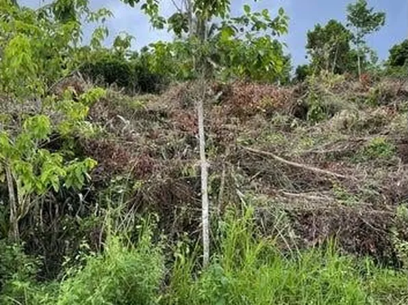 0000 139 Court, Dunnellon, FL 34432