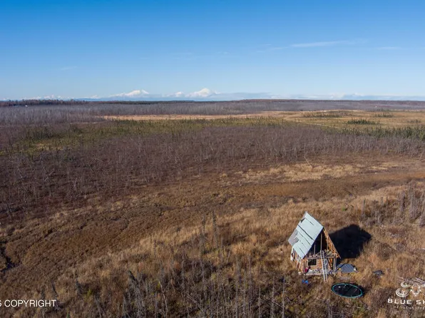 41357 W Krantz Rd, Willow, AK 99688