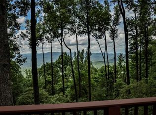 58 Ridgehaven Ln #2, Ellijay, GA 30536