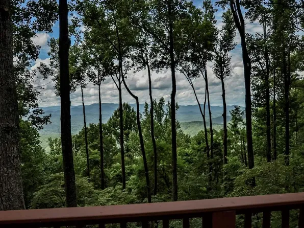 58 Ridgehaven Ln #2, Ellijay, GA 30536