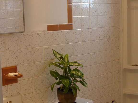 Downstairs Bath