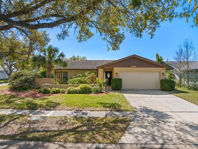 1629 Brook Dr, Dunedin, FL, 34698