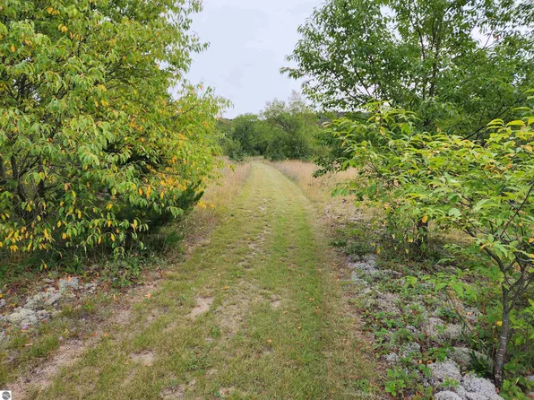 Tobias Rd, Elmira, MI 49730