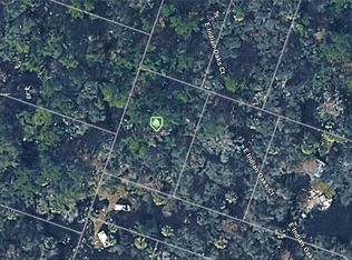 6311 E Indian Oaks Ct, Hernando, FL 34442