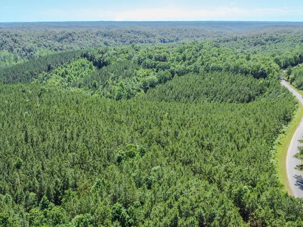 0 Rockhouse Rd Lot 7, Linden, TN 37096