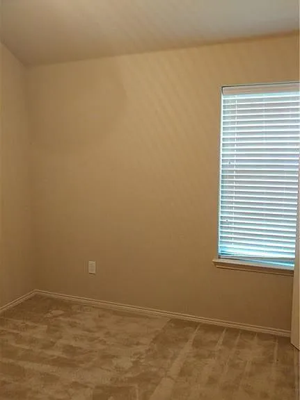 8512 Minturn Dr — Photo 28