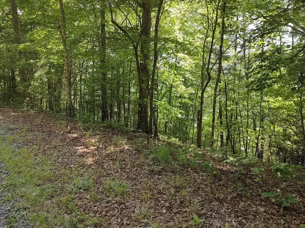 27 Wolf Creek Rd, Mineral Bluff, GA 30559