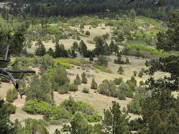 Tbd County Road 15, Florence, CO 81226