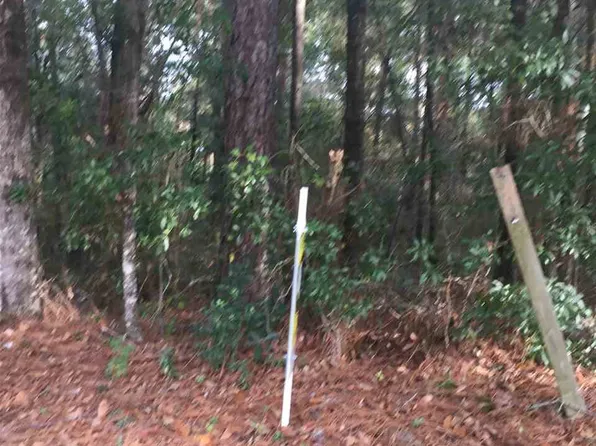 1766 Princeton Woods Dr E, Mobile, AL 36618