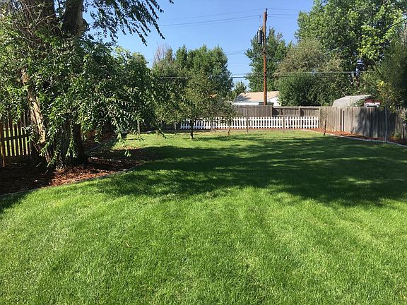 Large yard Fruit trees