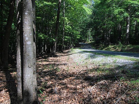 5th image of 0 Wilderness Way