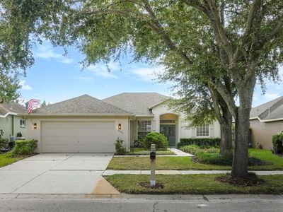 19106 Abercorn Pl, Lutz, FL, 33558