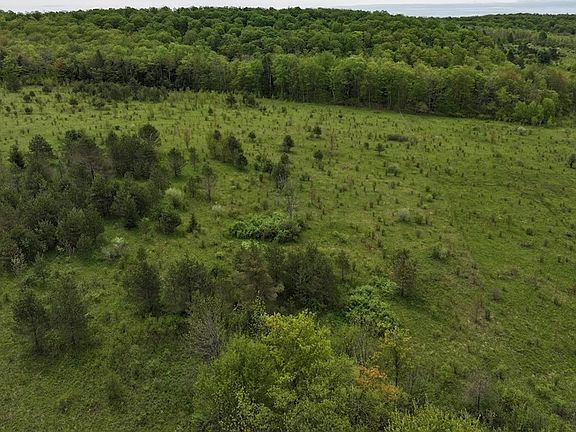 5th image of Reynolds Rd