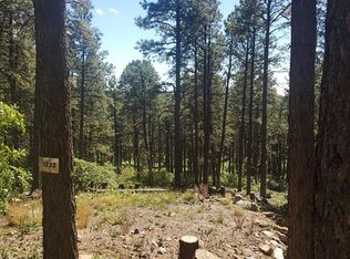 1232 Pine Tree Dr, Bayfield, CO 81122