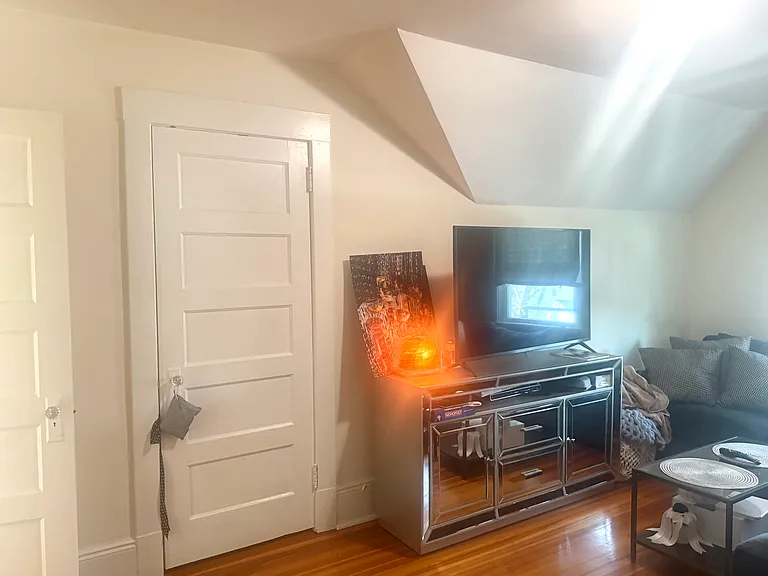 305 Milbank Ave #3 — Photo 3