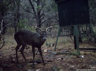 11250 Rebecca Creek Rd, Spring Branch, TX 78070