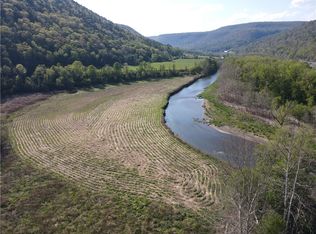 LOT 3 McChesney Rd, Cameron, NY 14819