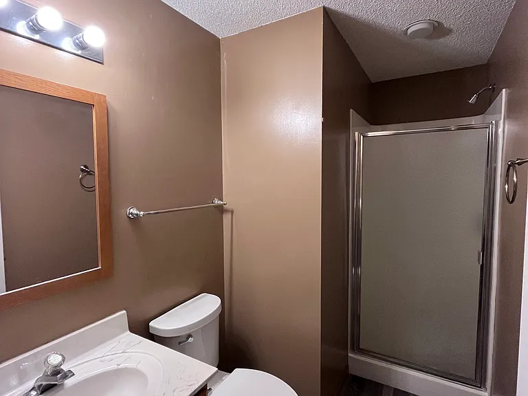 Bathroom Lower Level