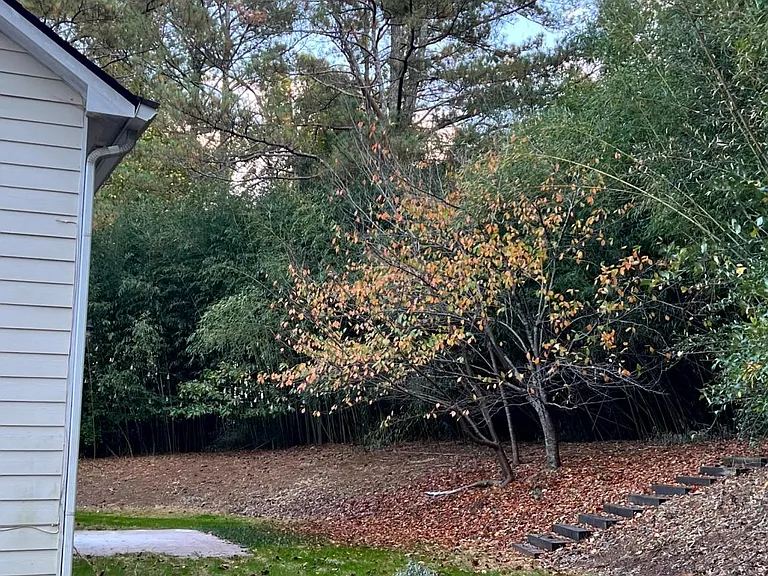 705 Bellemeade Pl — Photo 3