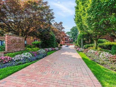 99 S Park Avenue #206, Rockville Centre, NY, 11570