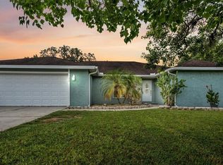 703 Willow Run, Lakeland, FL 33813