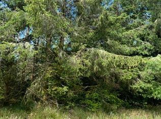 287 Duck Lake Dr SE, Ocean Shores, WA