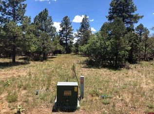 1711 Marmot Dr, Ridgway, CO 81432