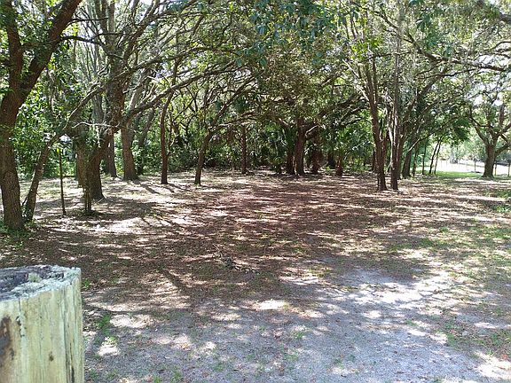 Rear 1/3 of property