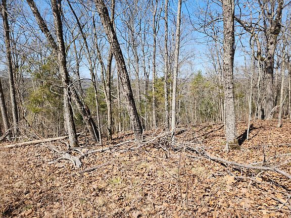 2nd image of 000 Powell Blvd Lot 10