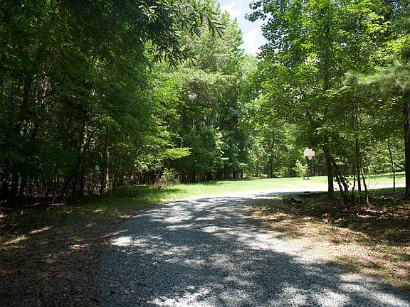 tree lined driveway