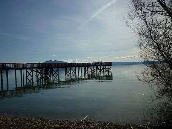 Nearby Pier and Clearlake