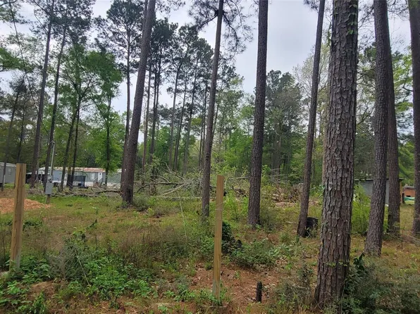 451 N Higgins Rd, Shepherd, TX 77371